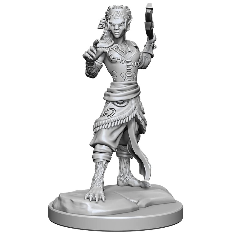 WizKids D&D Nolzur's Marvelous Miniatures: Shifter Fighter