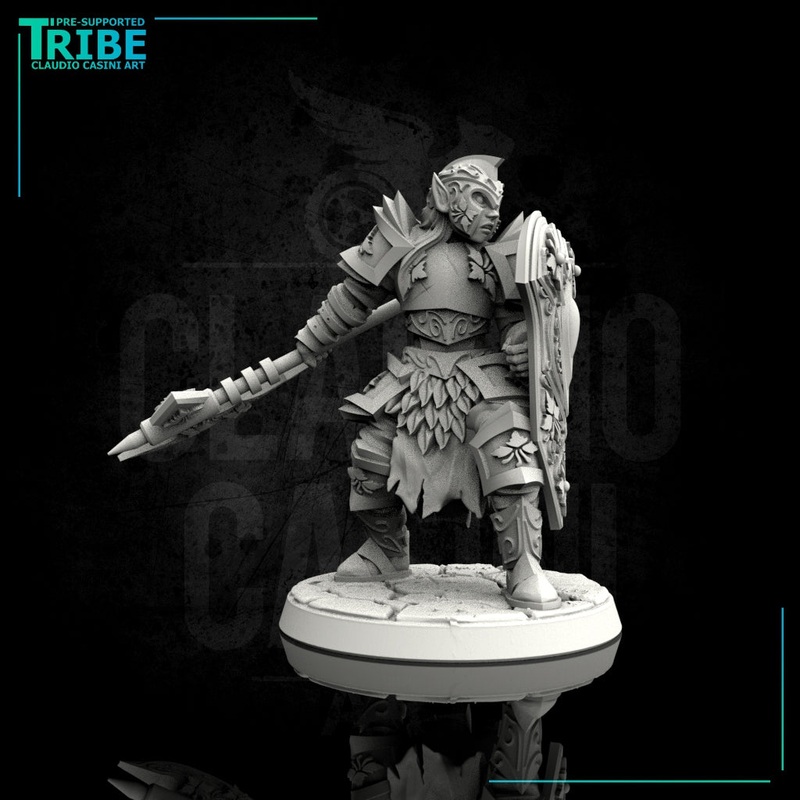 (0070) Male elf human tiefling paladin with big axe / halberd