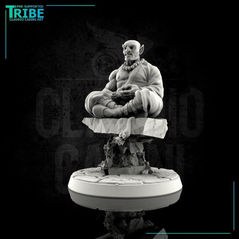 (0083) Male human elf tiefling half orc zen master shaolin monk