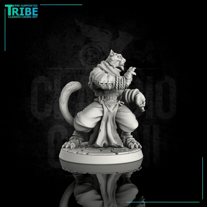 (0090) Male felinid monk