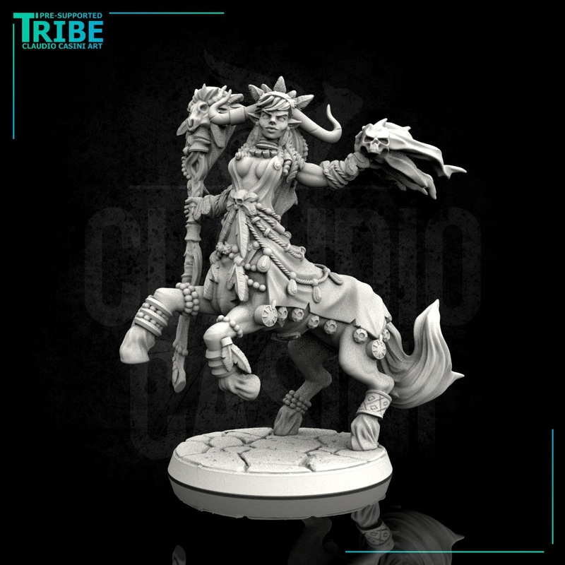 (0113) Female centaur wizard sorceror druid with spell