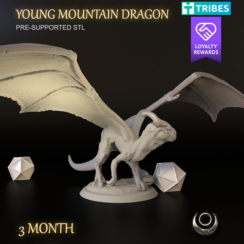 Young Mountain Dragon