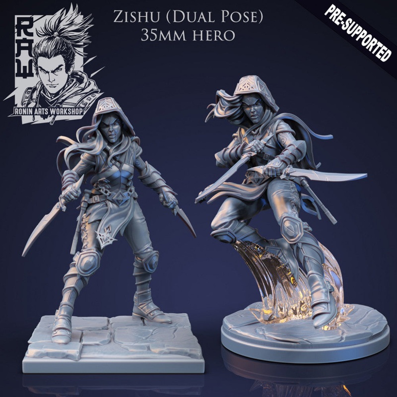 Zishu The Rogue - Idle and Action Pose