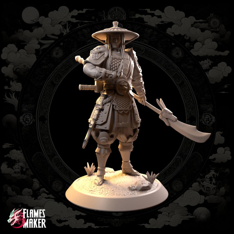 Xin the Warrior