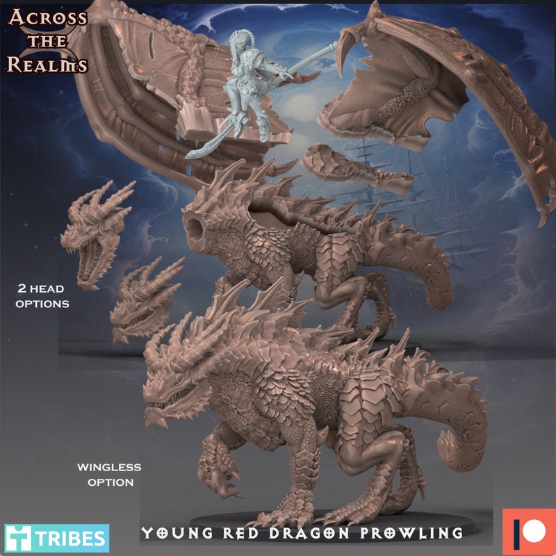 Young Red Dragon Prowling