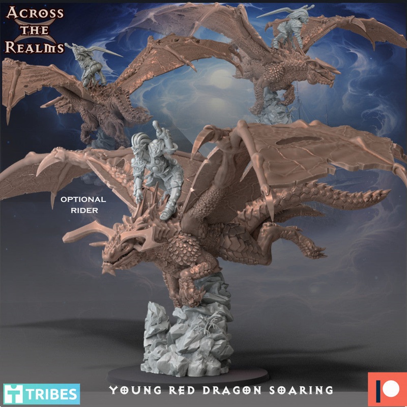 Young Red Dragon Soaring