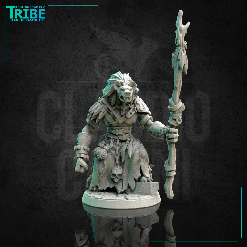 (0173) Male shaman wizard sorceror gnoll
