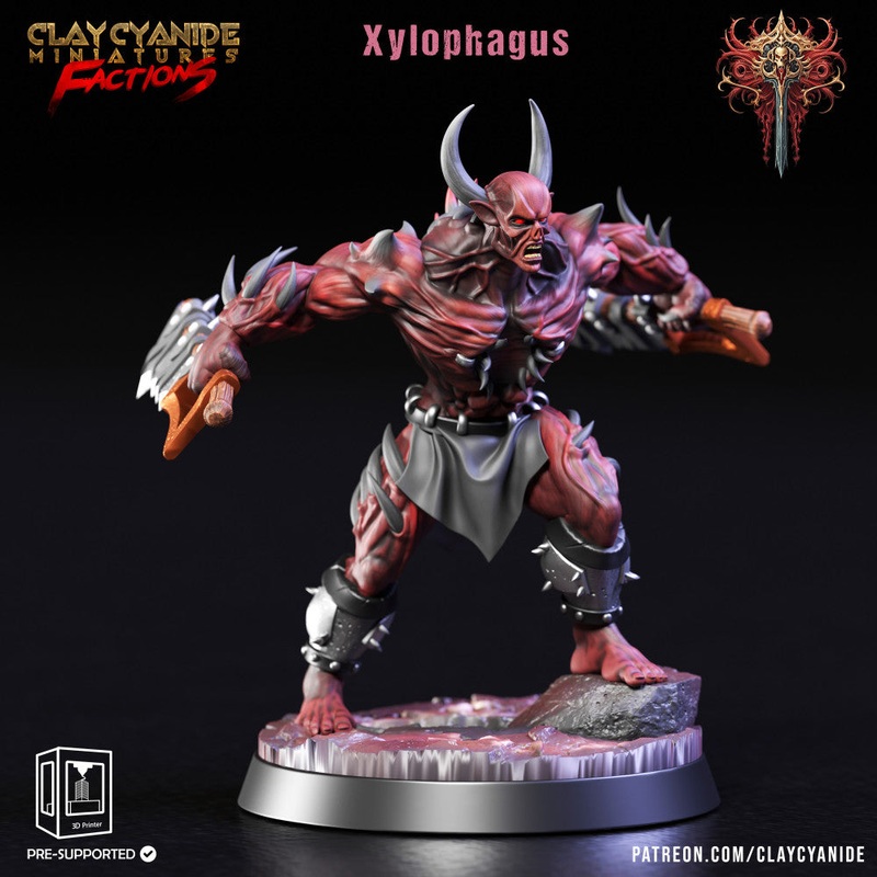 Xylophagus