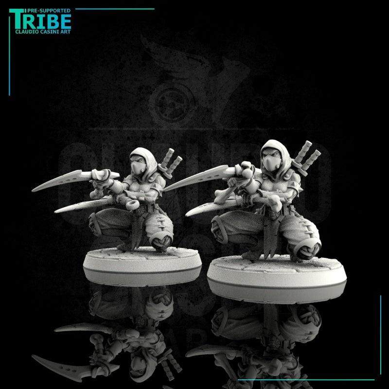 (0023) Female human elf ninja normal and undead with sickles